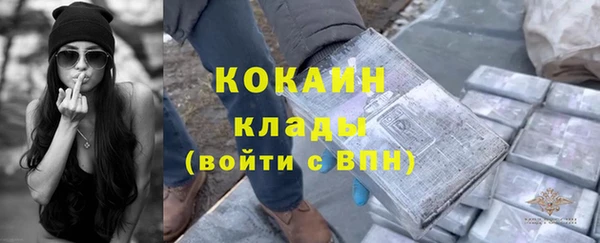 ешки Снежинск