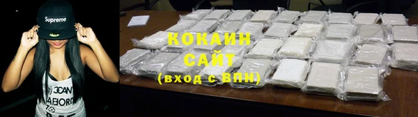 бошки Белокуриха