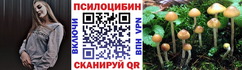 Псилоцибиновые грибы мицелий  как найти   Туран 